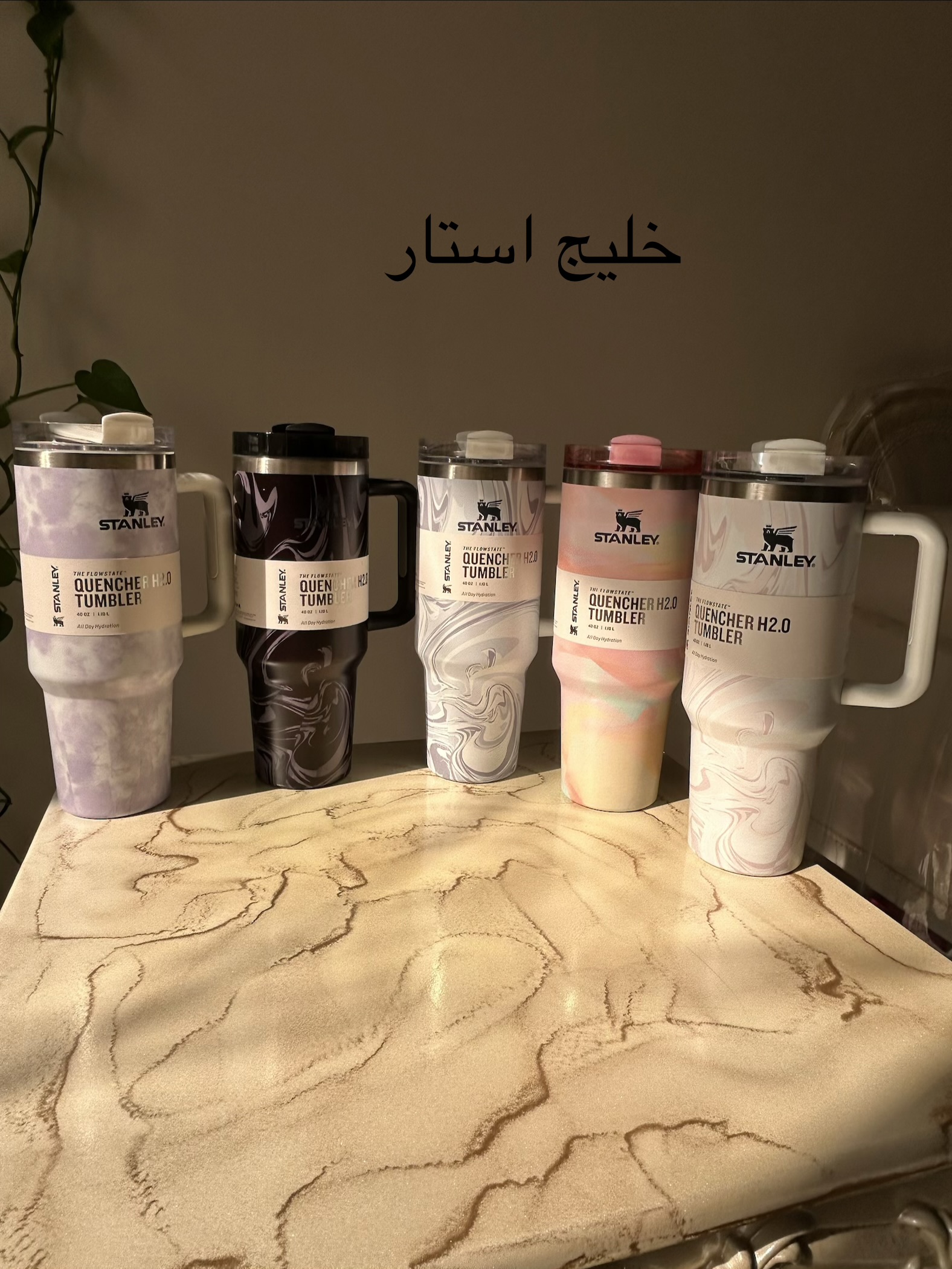 تراول ماگ استنلی آبرنگی
